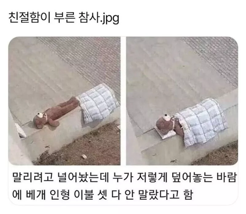 본문 이미지