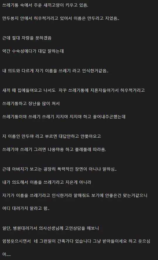 본문 이미지