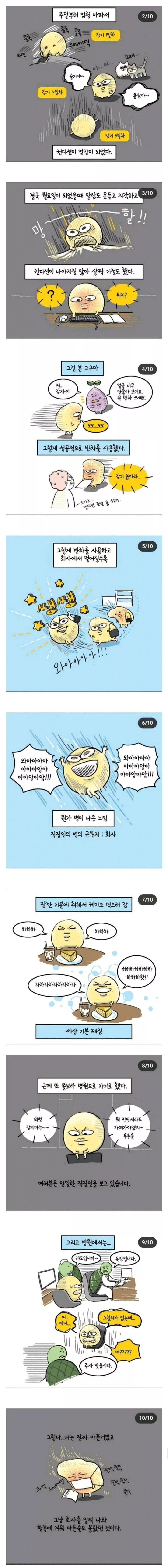 본문 이미지